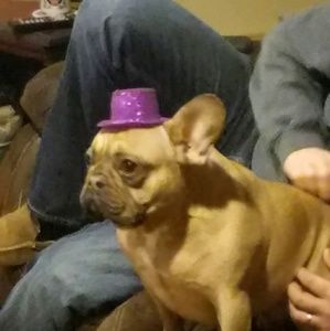 Meet your Posher, Charles